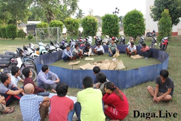 Hà Tĩnh triệt phá ổ bạc đá gà lưu động