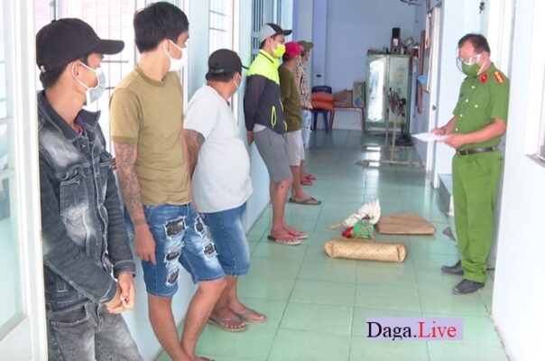 nhóm thanh niên bị bắt vì tụ tập đá gà ăn tiền