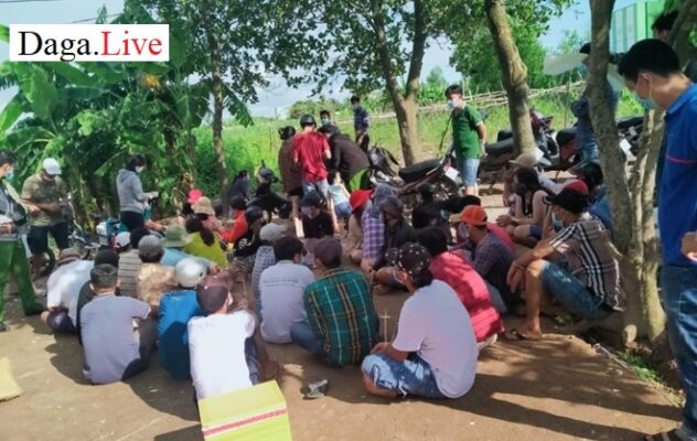 Rạch Giá: Công an bắt quả tang 33 đối tượng đá gà ăn tiền