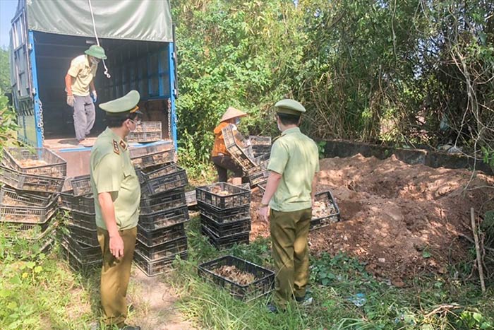 bị bắt khi đang vận chuyển hàng lậu