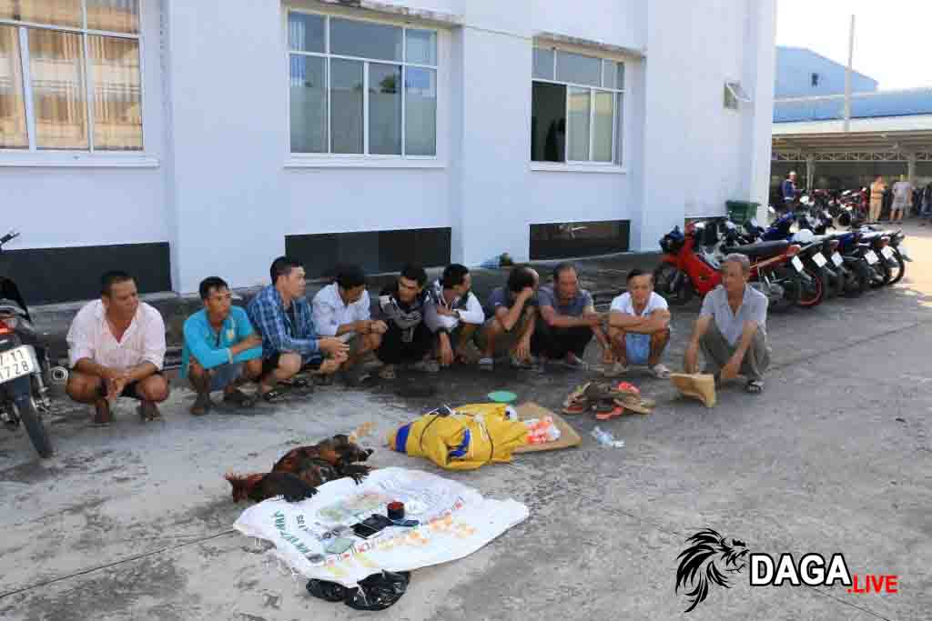 Đối tượng đá gà ăn tiền bị bắt ngày 15-11-2019