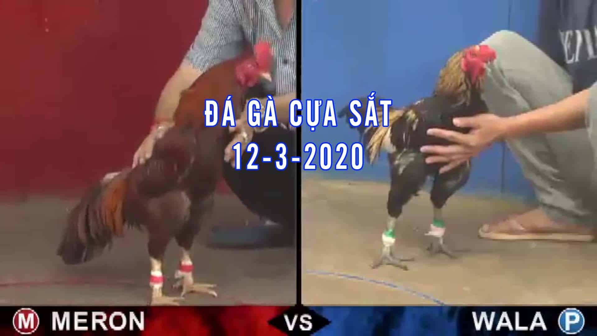 đá gà cựa sắt, đá gà thomo hôm nay, đá gà trực tiếp bình luận viên, đá gà campuchia, da ga ucw88 thứ 5 ngày 12-3-2020