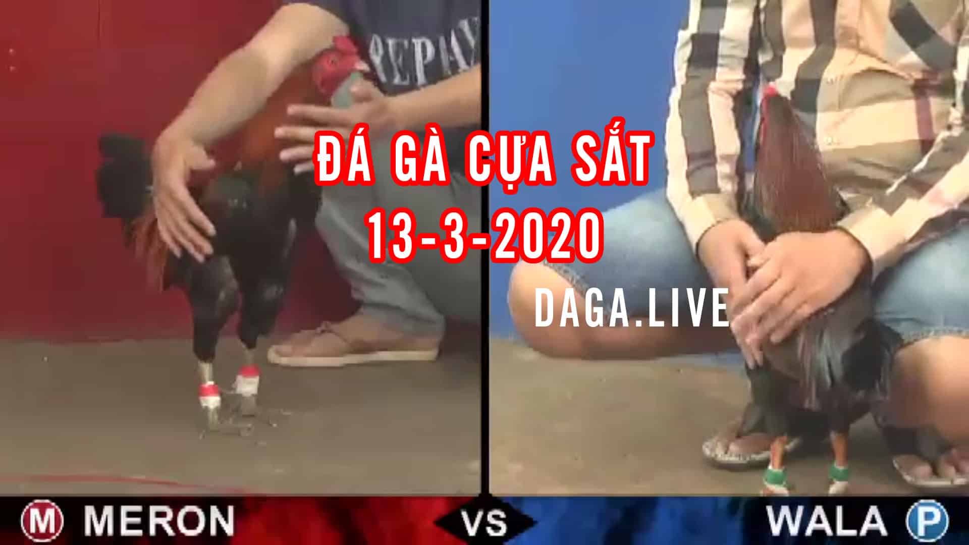 đá gà cựa sắt, đá gà thomo, đá gà campuchia, da ga ucw88 thomo hôm nay, đá gà trực tiếp thomo, trực tiếp đá gà thứ 6 ngày 13-3-2020